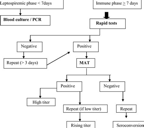 Approach to Diagnosis of Leptospirosis Clinical features suggestive of... | Download Table