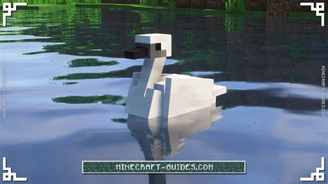 Minecraft: Exotic Birds Mod Guide & Download - Minecraft Guides Wiki