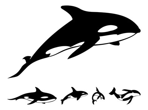 Killer Whale Silhouettes Vector Art & Graphics | freevector.com