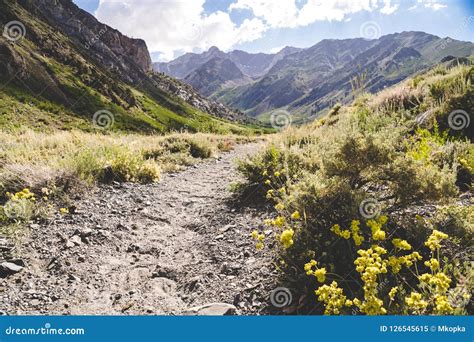 Dirt Hiking Trail in McGee Creek Near Mammoth Lakes California Stock ...