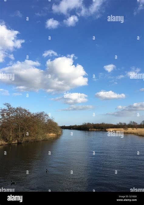 Norfolk Broads Boat Trip Stock Photo - Alamy