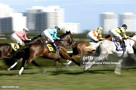 2,003 Gulfstream Park Horse Racing Stock Photos, High-Res Pictures, and ...