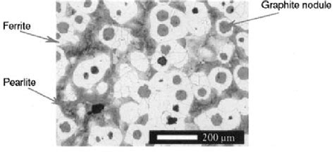 Microstructure Of Ductile Cast Iron A As Cast And Iso - vrogue.co