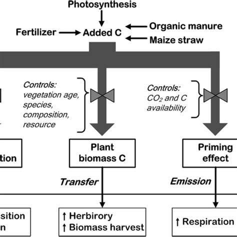 Global distribution of Mollisols | Download Scientific Diagram