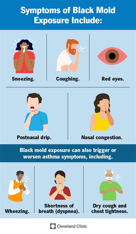 Black Mold Exposure: Symptoms, Risks & Treatment