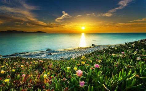 landscape, Nature, Beach, Sunset, Clouds, Sea, Sky, Flowers, Water, Colorful, Coast, Calm ...