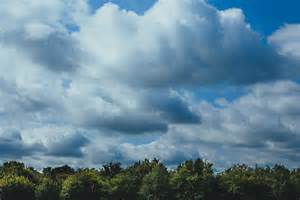 Free stock photo of clouds, cloudy, forest