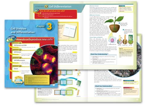 Design for Textbooks – Design for Books