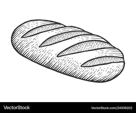 Loaf Of Bread Drawing ~ Loaf Bread Drawn Hand | Bodenswasuee
