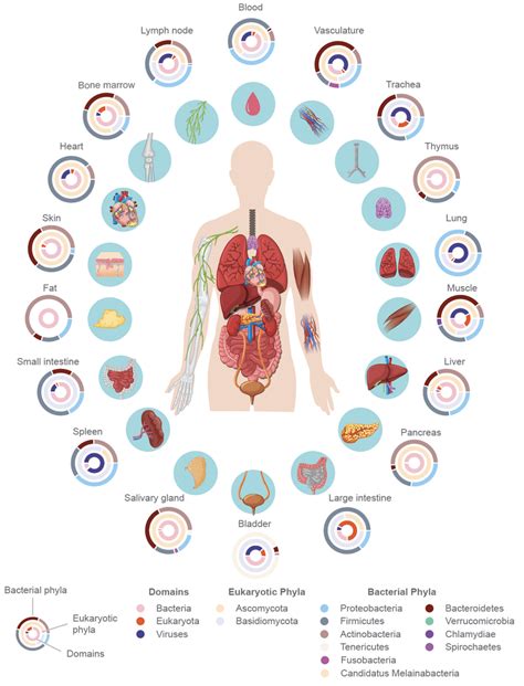 Tabula Sapiens Microbiome (TSM) atlas derived from the Tabula Sapiens ...