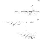 Synthesis of Self-Colored Thermal Stabilized Acrylonitrile / Itaconic Copolymers : Oriental ...