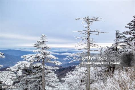 Jirisan National Park Photos and Premium High Res Pictures - Getty Images