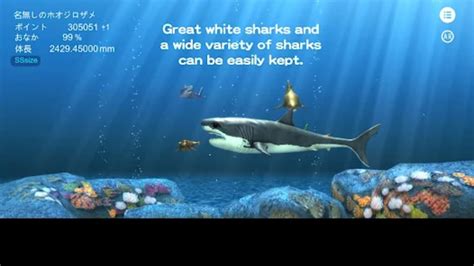 Great white shark breeding AR for Android - Download