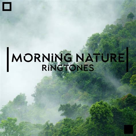 Morning Nature Ringtones: Wake Up in a Tropical Forest by Natural ...