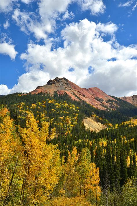 Red Mountain Pass Fall Colors Photograph by Ray Mathis - Fine Art America