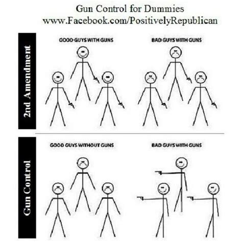 Pro 2nd Amendment Cartoons, Memes And Other Images That Are On Point ...