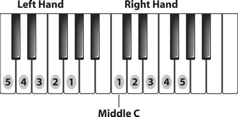 Top 11 Piano Fingers Exercises For Beginners To Master The Basics