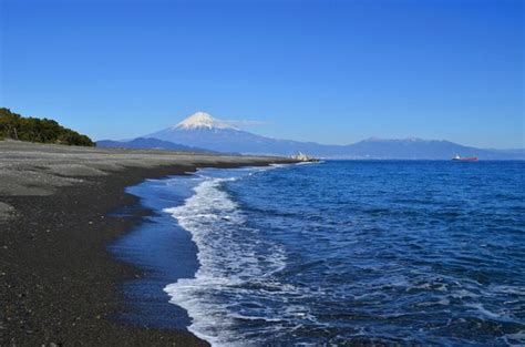 THE 15 BEST Things to Do in Shizuoka - 2022 (with PHOTOS)