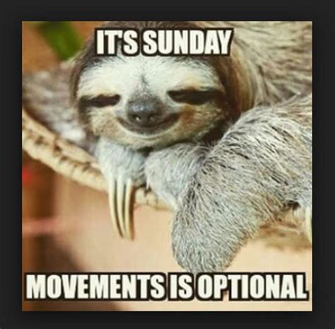 27 Funny Sunday Memes That Are Perfect for Lazy Sundays - Brim Himakinecity