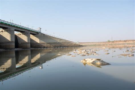 Pollution on Dried Up River Stock Photo - Image of sepia, broken: 22777758