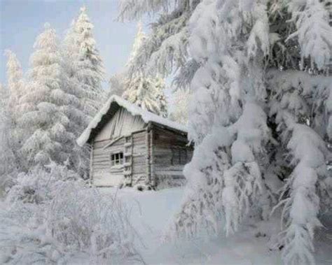 West Virginia | Winter scenery, Winter landscape, Winter cabin