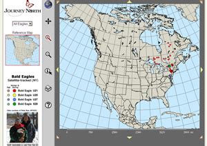 Journey North Bald Eagle Migration
