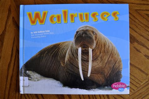 Paper Plate Walrus | I Heart Crafty Things