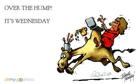 OVER THE HUMP! IT'S WEDNESDAY | Ecards funny, Cartoon drawings, Funny