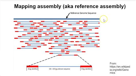 Genome Assembly - Overview Part 1 - YouTube