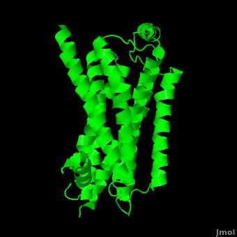 Beta-2 Adrenergic Receptor - Proteopedia, life in 3D