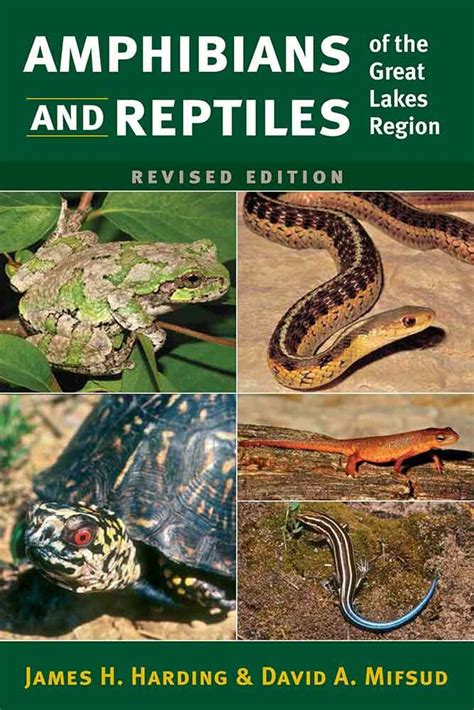 Amphibians and Reptiles of the Great Lakes Region, Revised Ed ...