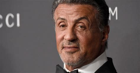 Sylvester Stallone Turns Down Role In Donald Trump's Administration ...