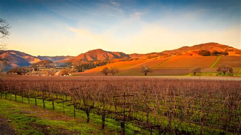 Style Guide: The World's Best Places for Growing Chardonnay | VinePair