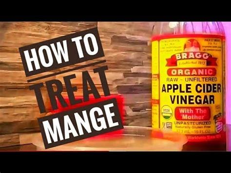 How to treat Scabies / Mange for Cats and Dogs Using APPLE CIDER VINEGAR... | Home remedies for ...