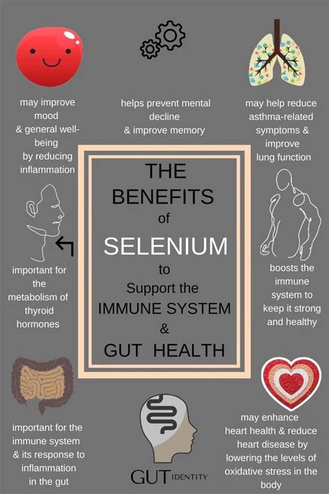 Benefits of Selenium [Video] | Digestive health, Selenium benefits, Gut health