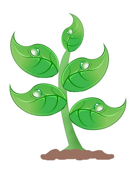 plants clipart - Clip Art Library