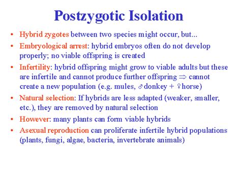 Postzygotic Isolation