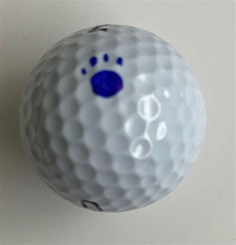 You have to mark your golf ball. – Niche Golf