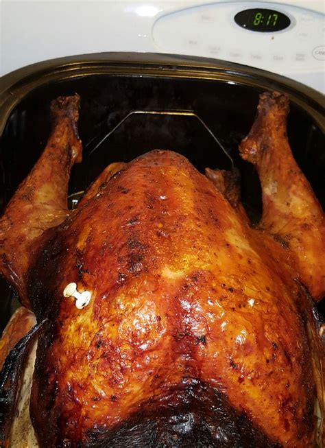 Perfect Turkey in an Electric Roaster Oven Recipe - Food.com | Recipe | Turkey recipes ...