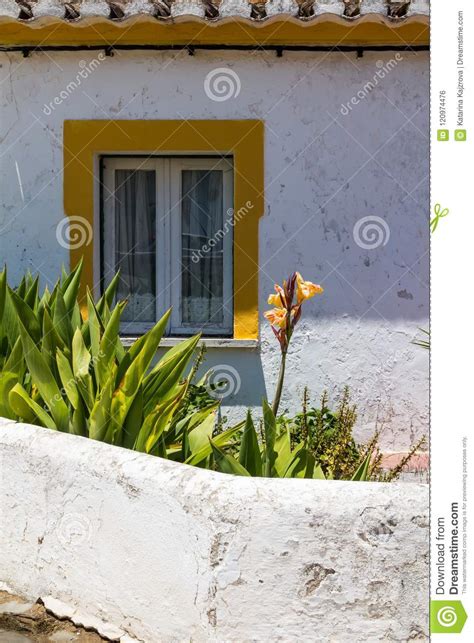 Window of a House and a Small Garden Stock Photo - Image of closeup, portugal: 120974476