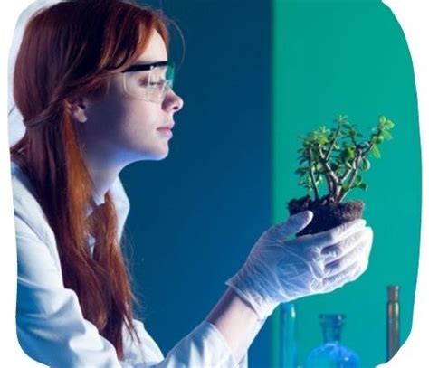 Soil Scientist – Career In STEM®