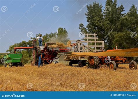 Harvesting Wheat with a Threshing Machine Editorial Image - Image of machine, minnesota: 110392995