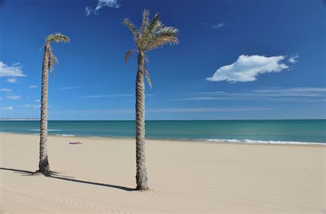 Guardamar Del Segura | Florida holiday, Dream holiday, Favorite places