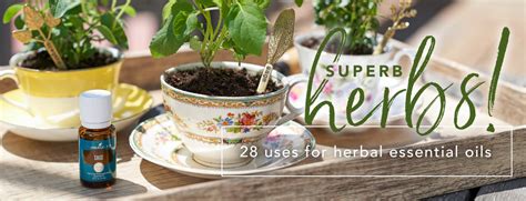 Benefits of Herbal Essential Oils | Young Living Blog