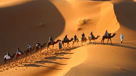 Camel Trekking in Erg Chebbi With Morocco Trips Sahara - Morocco Trip ...