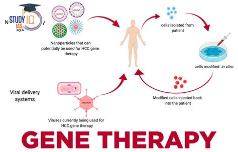 Gene Therapy Process