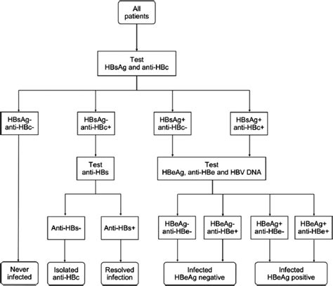 Algorithm for hepatitis B serology testing. anti-HBc, antibody to ...