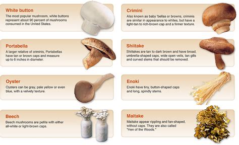 Imgs For > Types Of Poisonous Mushrooms