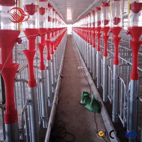 Pig Raising Farming Equipment for Sale - China Pig Farm and Sow