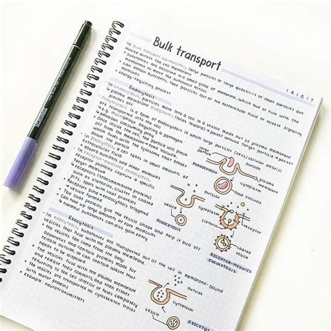 Business Form 2 Notes On Transport - Darrin Kenney's Templates